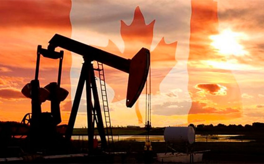 Kanada aktiv neft quyularının sayı artmağa başlayıb