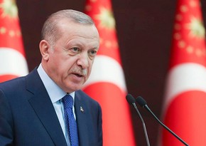 Erdogan: No NATO country should be a haven for terrorists 