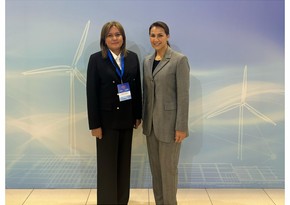Азербайджан и ОАЭ обсудили сотрудничество в области изменения климата
