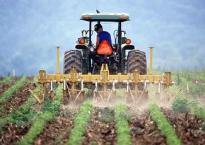 Azərbaycan Gürcüstandan traktor idxalını 2,7 dəfə azaldıb