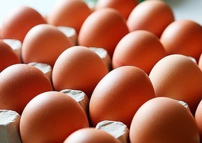 Вспышка птичьего гриппа в Техасе вызвала в США рост цен на яйца