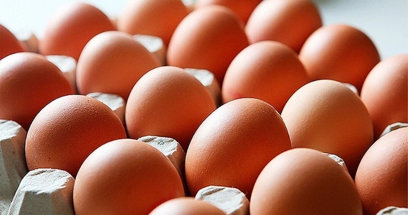 Cal-Maine Foods, largest producer of eggs in US, finds bird flu in chickens at Texas plant