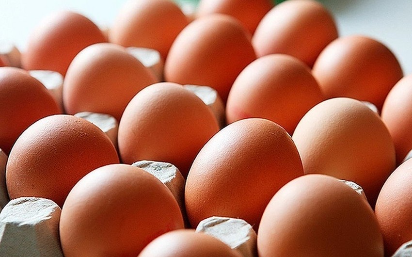 Вспышка птичьего гриппа в Техасе вызвала в США рост цен на яйца