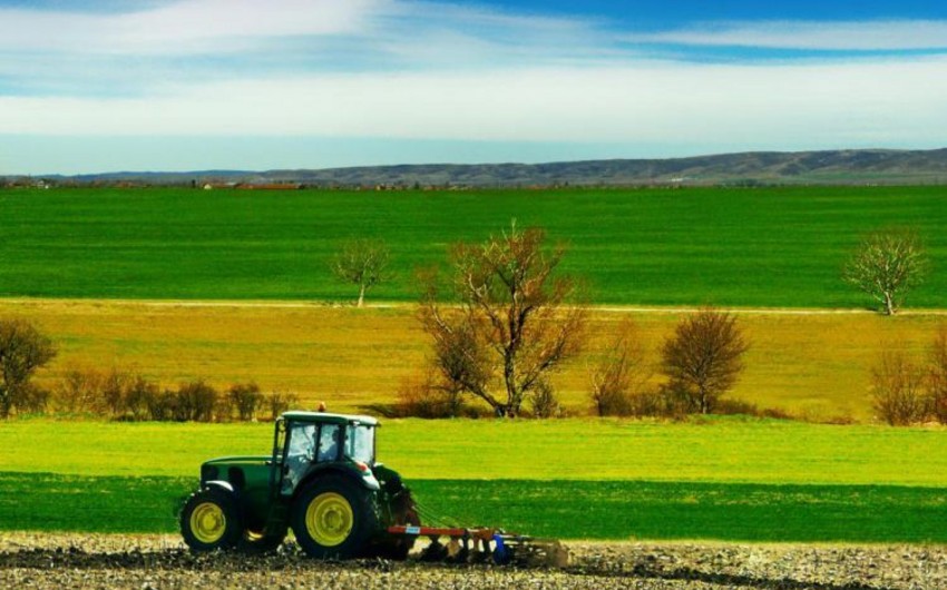 В Грузии временно аннулирован запрет на продажу иностранцам сельскохозяйственных земель