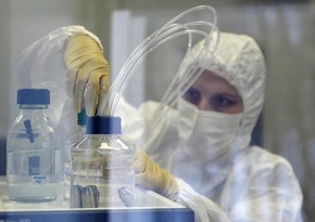 Ученые добились прорыва в лечении смертельно опасной лихорадки Эбола