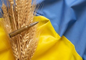 ФАО и Канада посодействуют Украине в решении проблемы дефицита зернохранилищ