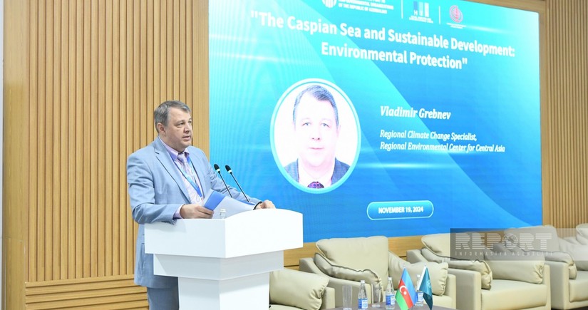 Expert stresses need to preserve Caspian Sea's biodiversity and ecosystem