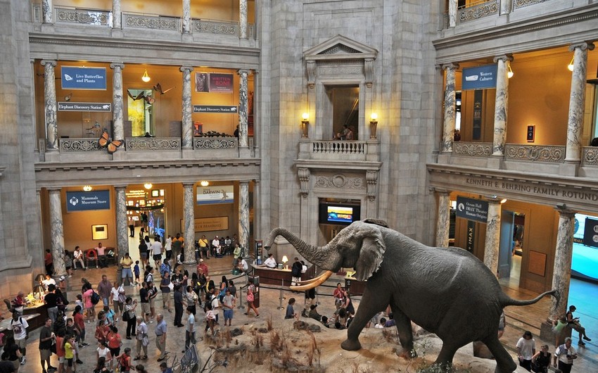 Главные музеи США закрылись из-за отсутствия финансирования