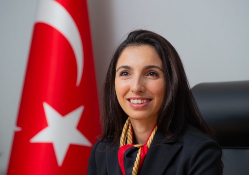 Глава ЦБ Турции подала в отставку из-за кампании против нее