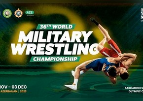 Азербайджан получил еще 5 медалей чемпионате мира по борьбе среди военнослужащих