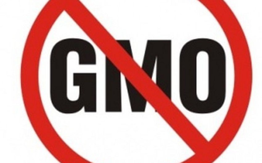 ​В США сельхозпроизводители отказываются от ГМО