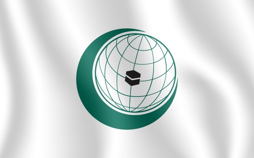 OIC calls for more collective efforts to support victims of humanitarian crises