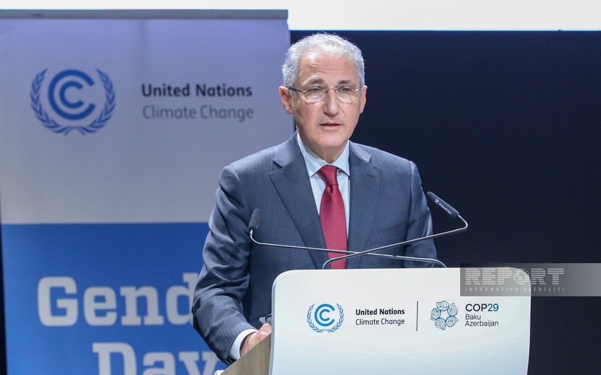 COP29 prezidenti: Qadınlar iqlim problemlərinin həllində dözümlülük, innovasiya və liderlik nümayiş etdirirlər