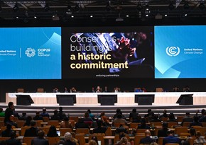 COP29 Paris Sazişinin iki maddəsini qəbul edib