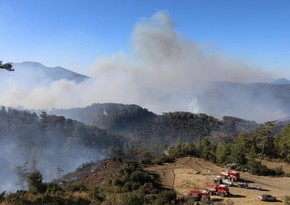 Türkiyədə meşə yanır, Silahlı Qüvvələrin helikopterləri cəlb edilib