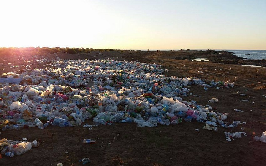 Из-за скопления отходов на пляже в Шувялане оштрафован представитель ИВ