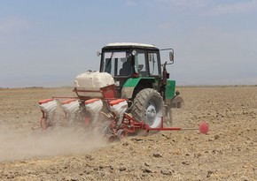 Посол: Азербайджан и Иран наладят совместное производство тракторов