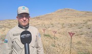 Azerbaijan National Agency for Mine Action explains reasons slowing down demining process