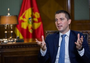 Алекса Бечич: Азербайджано-черногорские отношения развиваются на парламентском уровне