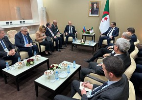 Azerbaijani, Algerian energy ministers discuss cooperation
