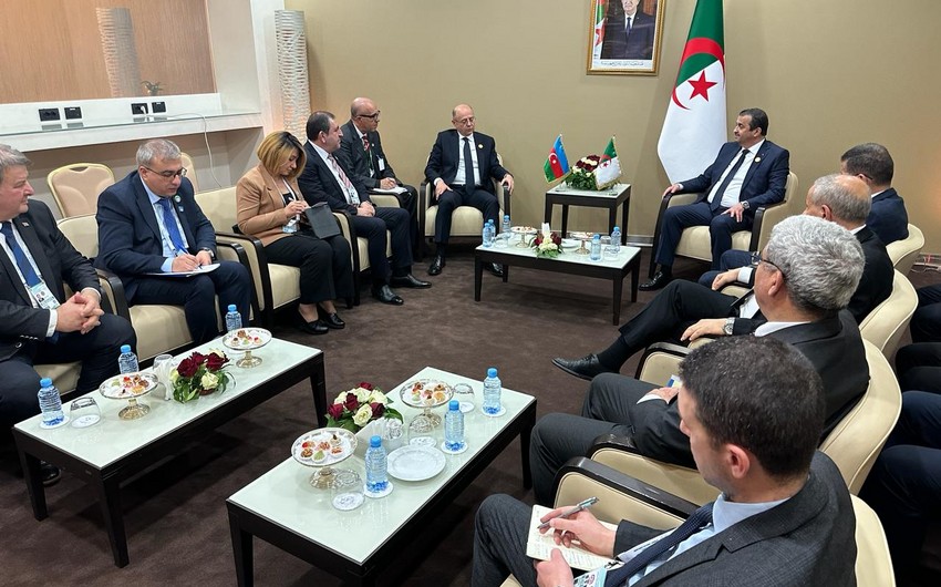 Глава Минэнерго Азербайджана встретился с алжирским коллегой