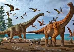 Ученые на примере динозавров поставили под сомнение одно из главных правил эволюции