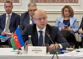 Parviz Shahbazov speaks at 4th meeting of Turkic states' energy ministers