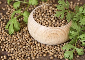 Азербайджан существенно увеличил импорт семян кориандра из России