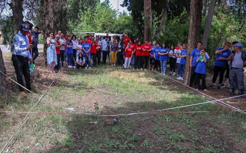 Azərbaycanda ilk qadın minatəmizləmə qruplarının yaradılmasına başlanılıb