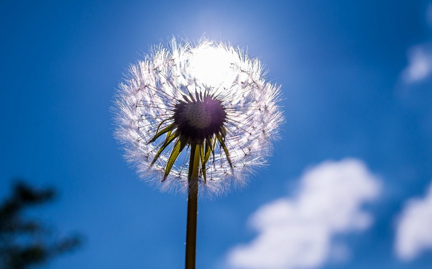 Azerbaijan weather forecast for June 30