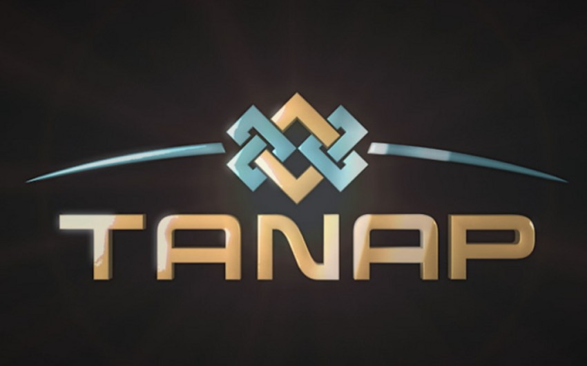 TANAP layihəsinin icrası plana uyğun həyata keçirilir