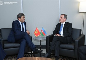 Azerbaijan FM holds discussions with his Montenegrin counterpart