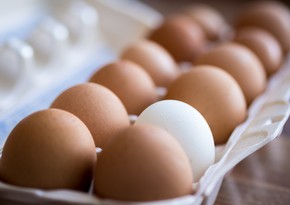 В Россию ввезли первую партию яиц из Азербайджана