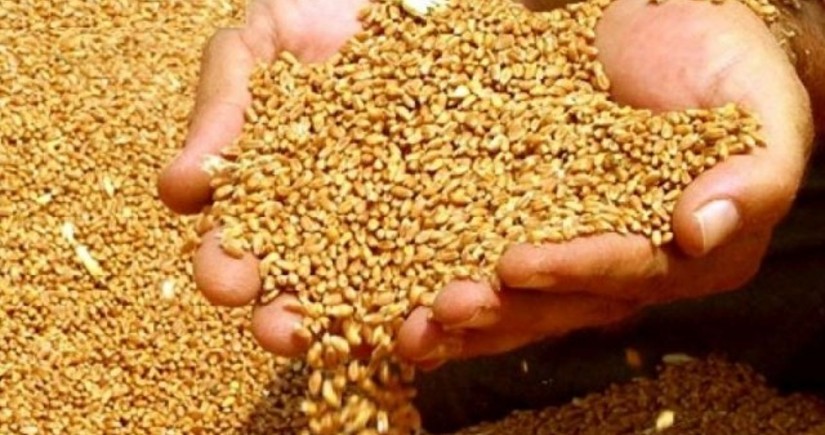 Импорт пшеницы из России обходится намного дешевле по сравнению с Казахстаном и Украиной