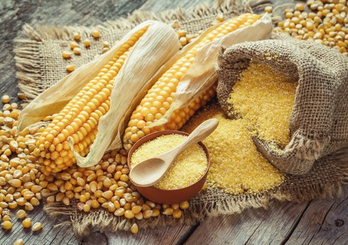 Азербайджан резко увеличил импорт кукурузы из Румынии