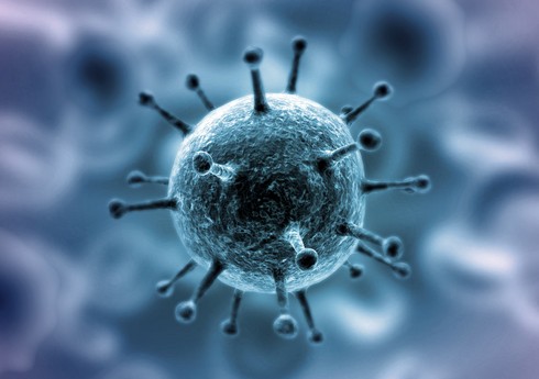ВОЗ: Пандемия коронавируса ускорилась