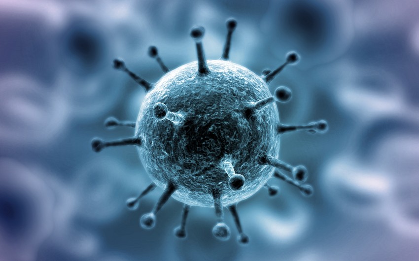 ÜST: Mövsüm koronavirusun ötürülməsinə təsir göstərmir