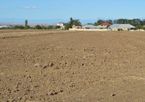 Минсельхоз назвал основную причину засоления почв в Азербайджане