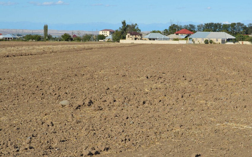 Минсельхоз назвал основную причину засоления почв в Азербайджане