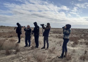 В Абшеронском национальном парке стартовал проект Зимний тур фотографов