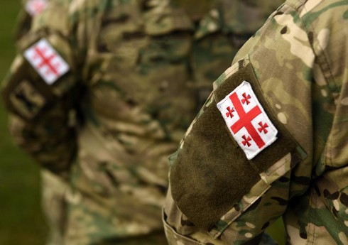 Министр обороны: В Грузии от службы в армии за год уклонились 12 тыс. человек