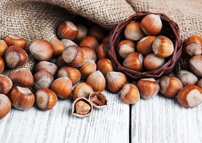 Italy and Germany plan to increase hazelnut imports from Azerbaijan - EXCLUSIVE