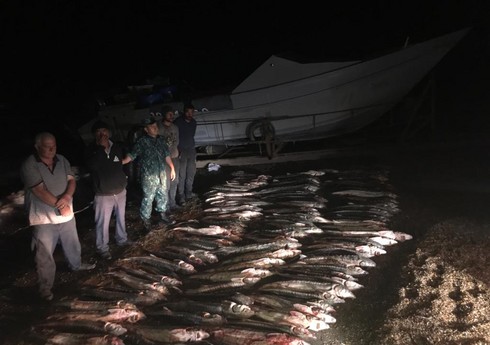 Задержаны браконьеры, выловившие 620 кг осетровых в Каспийском море