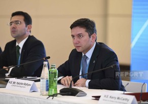 Yalchin Rafiyev: 60 decisions expected to be made at COP29