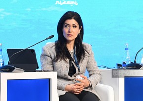 Nigar Arpadarai: Azerbaijan will provide support for successful organization of COP30 in Brazil