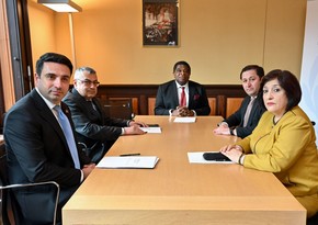 В Женеве прошла встреча спикеров парламентов Азербайджана и Армении