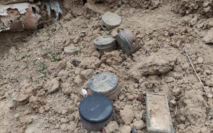 Полицейские обнаружили мины в Ходжавенде