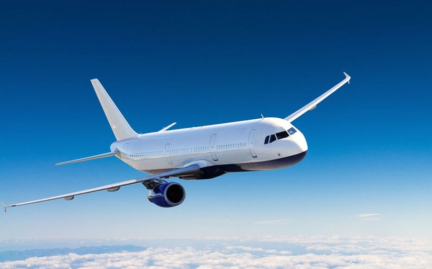 Доходы авиакомпаний мира от пассажироперевозок сократятся на 44%