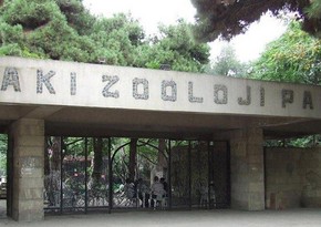 Bakıda ilk zooparkın yaradılmasından 90 il ötür