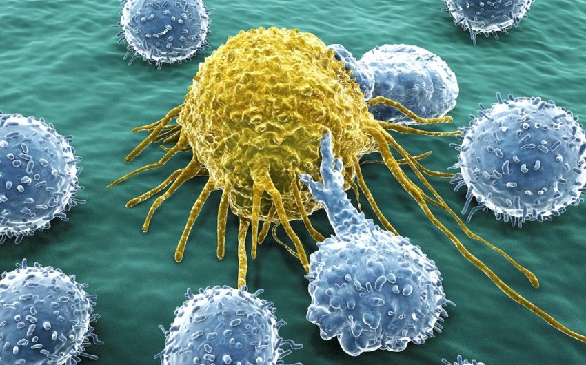 Американские ученые научились возвращать раковые клетки в нормальное состояние